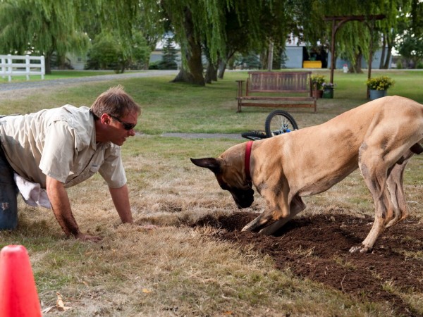 Мармадюк (3)