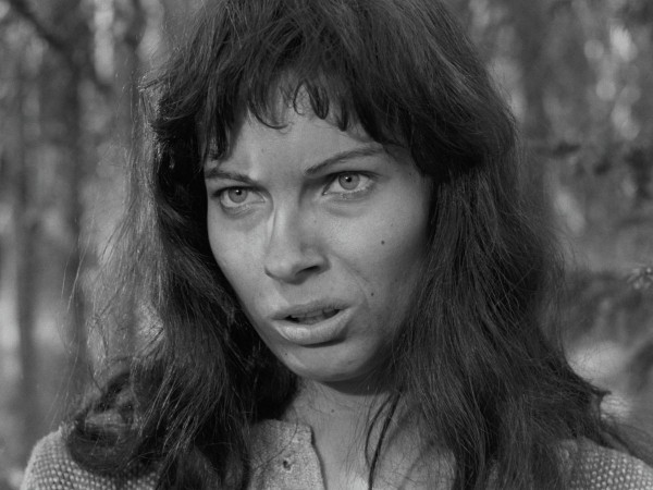 Девичий источник (4)