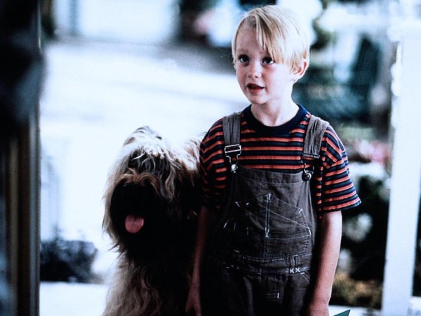 Деннис-мучитель