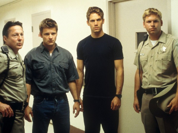 Ничего себе поездочка (3)