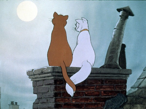 Коты-аристократы (4)