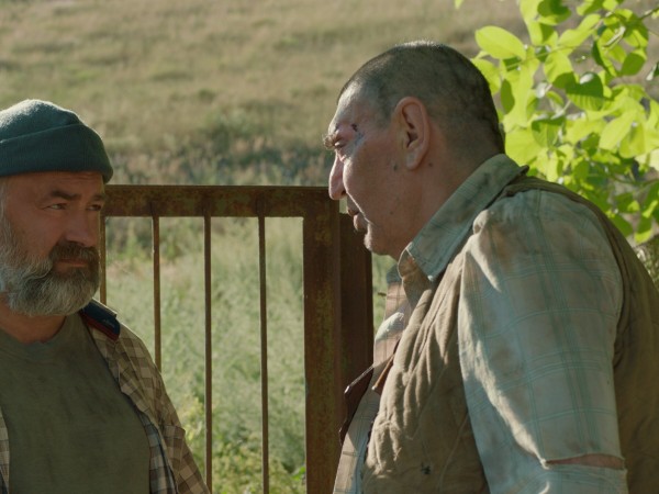 Солнце будет завтра (2)