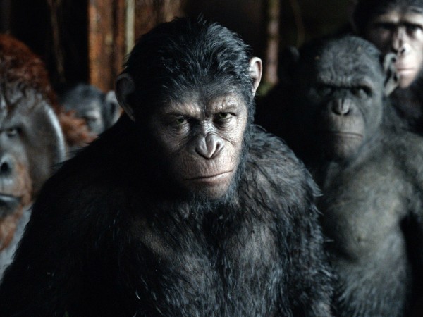 Планета обезьян: Революция (6)