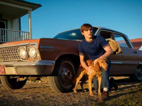 Собачья жизнь (3)