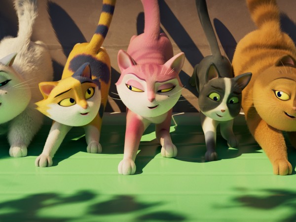 Изумительная Мокси (2)