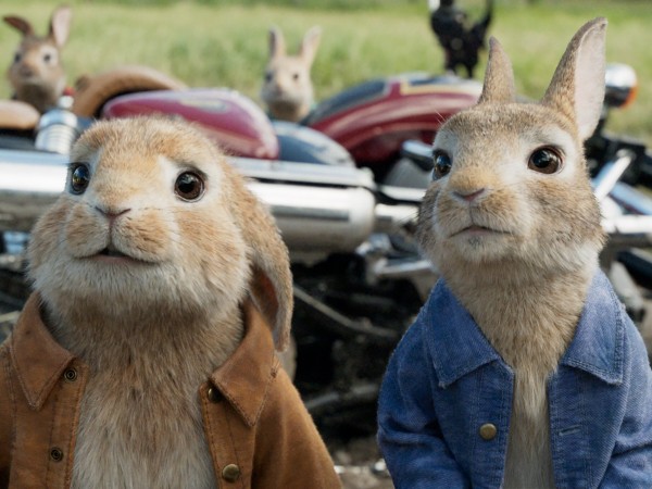 Кролик Питер (5)