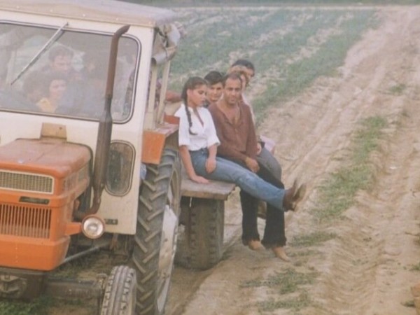 Укрощение строптивого (6)