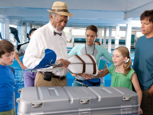 История дельфина (3)