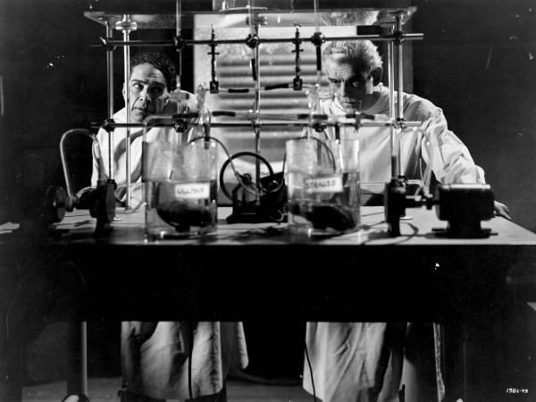 Дом Франкенштейна (3)