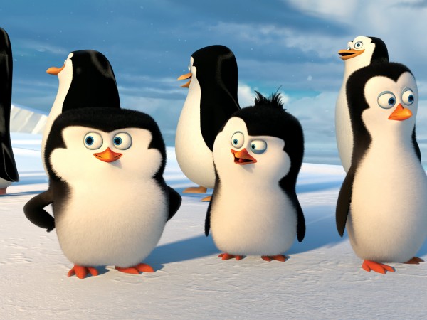 Пингвины Мадагаскара (2)