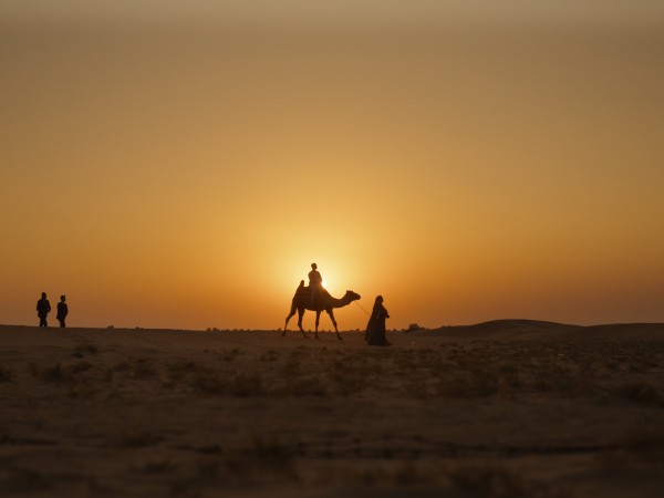 Притворись моим мужем (3)