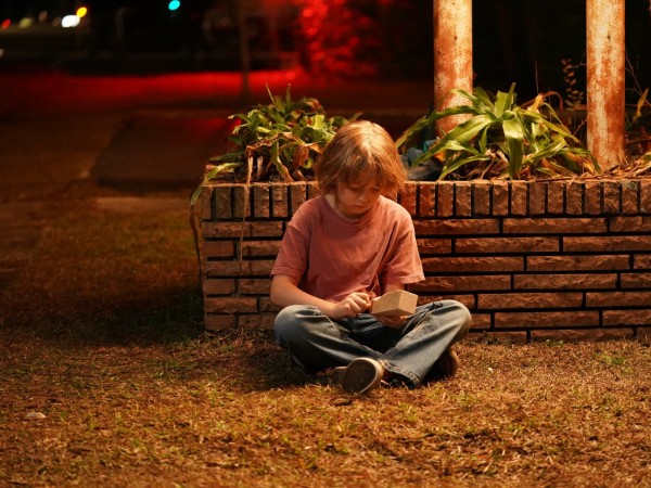 Парящий тигр (3)