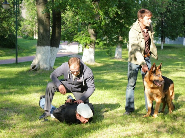 Лорд. Пёс-полицейский (3)