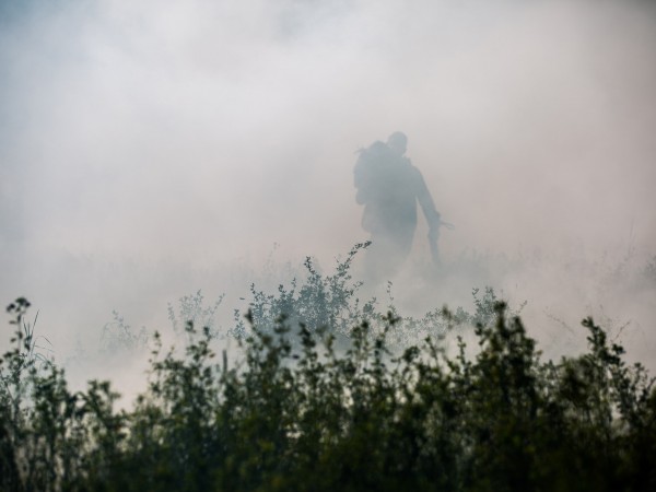 Голодные Z (3)