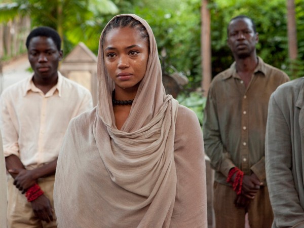 Пальмы в снегу (3)