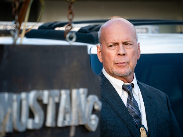 Полночь на злаковом поле (6)