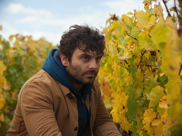 Возвращение в Бургундию (6)