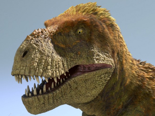 Дино Дана (3)