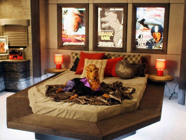 Пожарный пес (5)