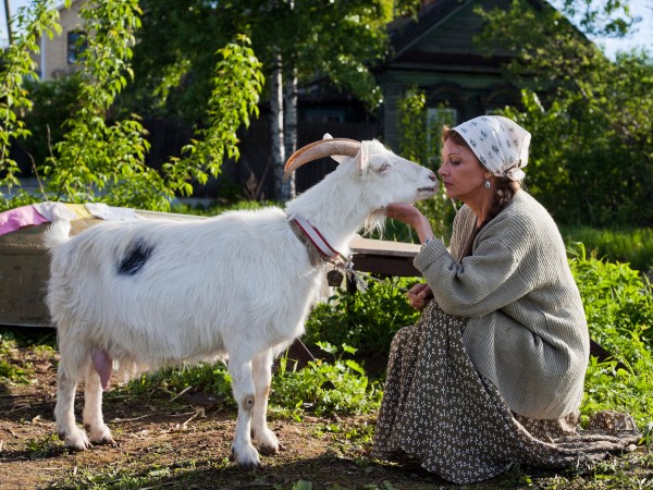 Девять дней и одно утро (2)