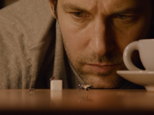 Человек-муравей (3)