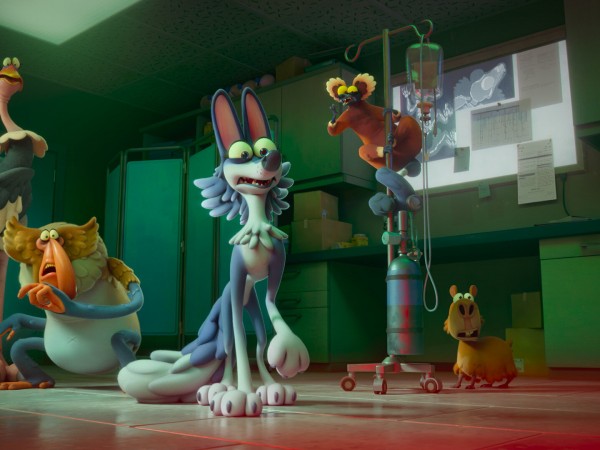 Ночь в зоопарке (2)