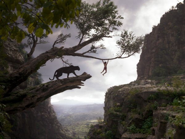 Книга джунглей (2)