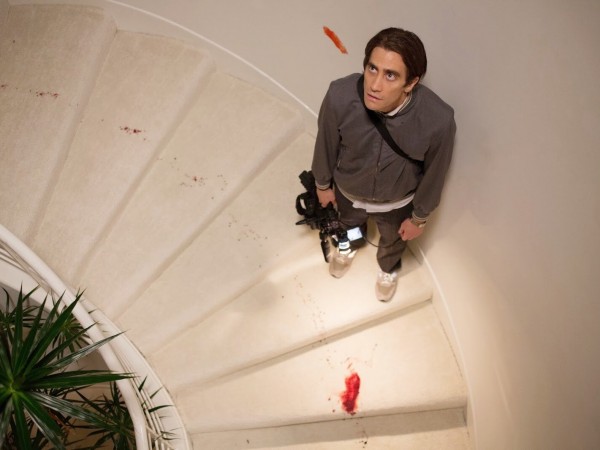 Стрингер (5)