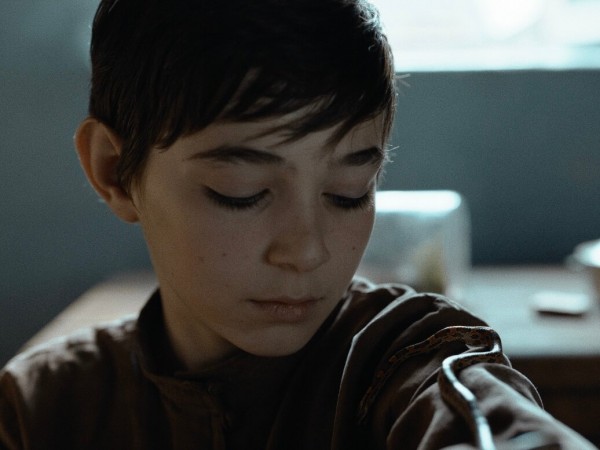 Семь чёрных бумаг (3)