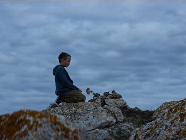 Чупакабра (2)