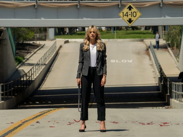 Девушка, подающая надежды (6)