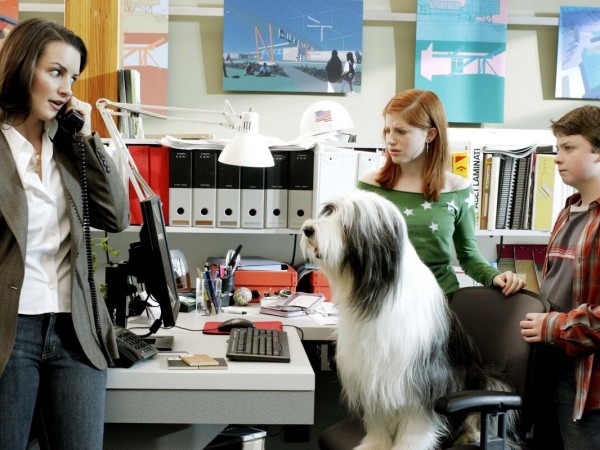 Лохматый папа (2)