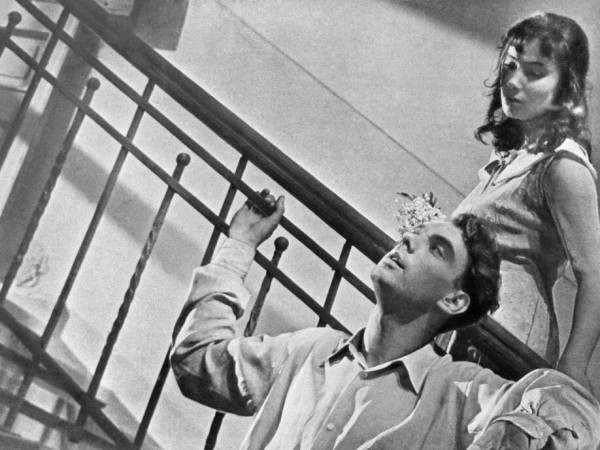 Летят журавли (3)