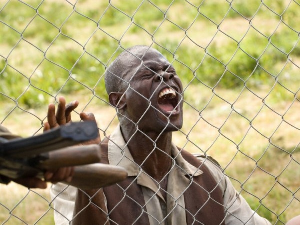 Кровавый алмаз (3)