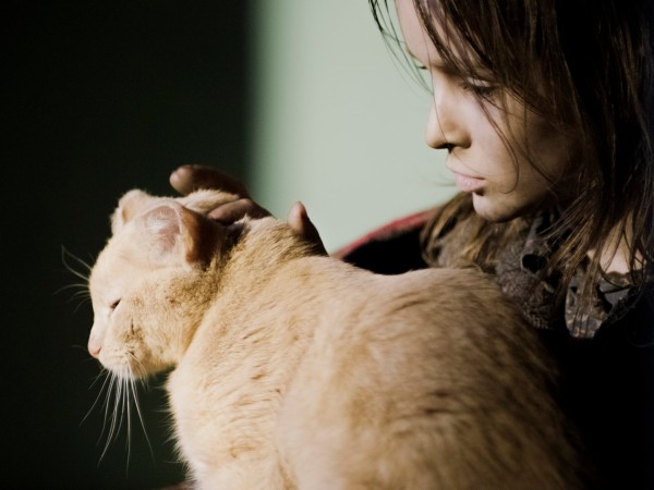 Война Анны (5)