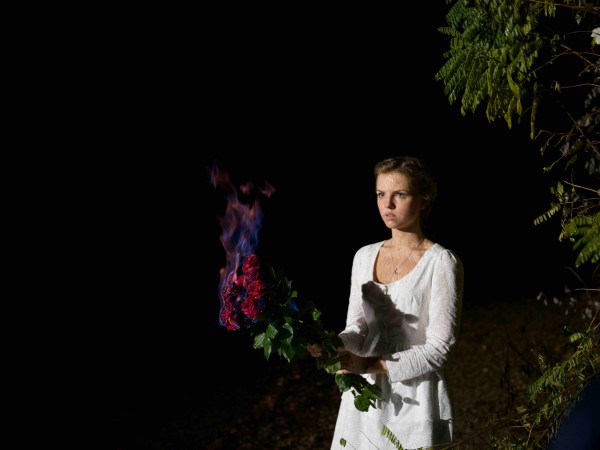 Ласточка (4)