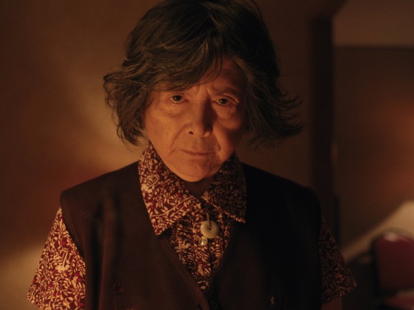 Телохранитель бабушки (3)