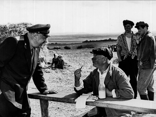 Деревенский детектив (4)