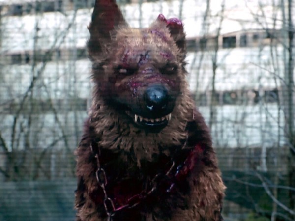 Чернобыль. Зона отчуждения (6)