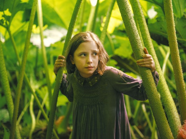 Таинственный сад