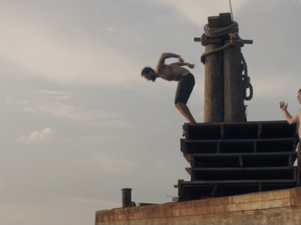 Арахисовый сокол (4)