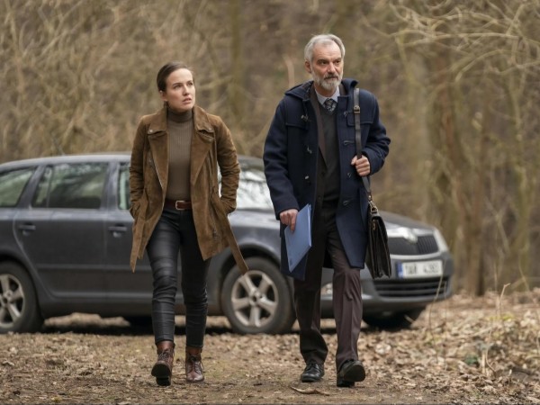 Профессор (3)