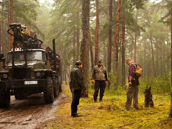 Лесник. Своя земля (5)