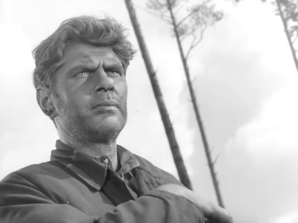 Стальная колыбель