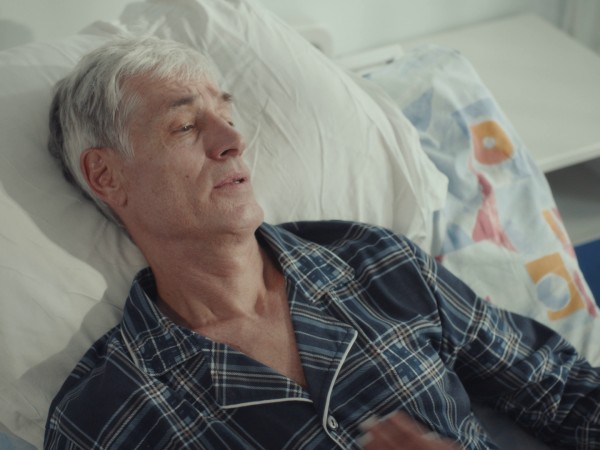 Тысяча роз (4)