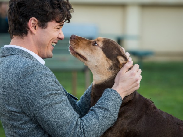 Путь домой (6)