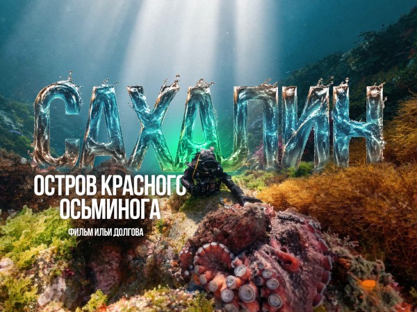 Сахалин: остров красного осьминога