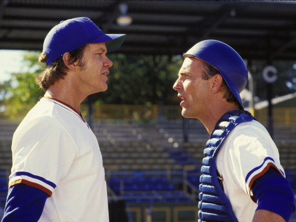 Дархэмские быки (5)