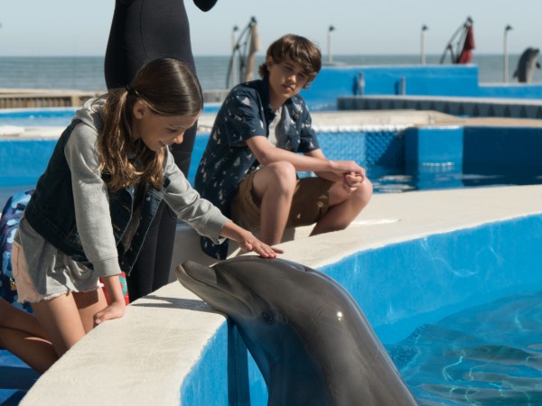 Дельфин Берни (4)