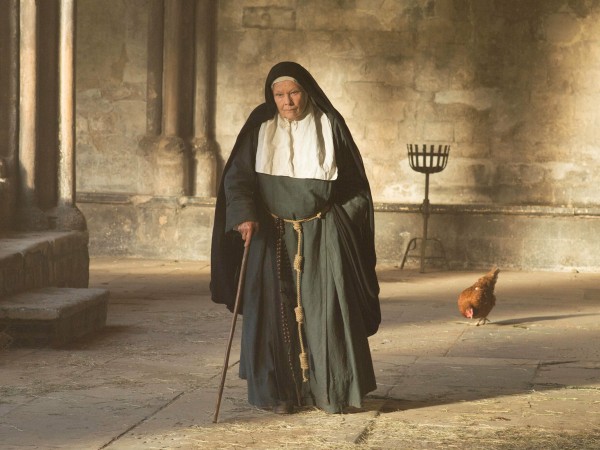 Тюльпанная лихорадка (5)